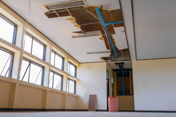 Carpet water damage restoration in Apopka, FL
