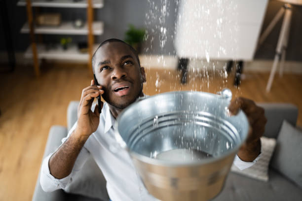 Best 24-hour water damage restoration  in Apopka, FL