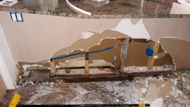 Best Commercial water damage restoration  in Apopka, FL
