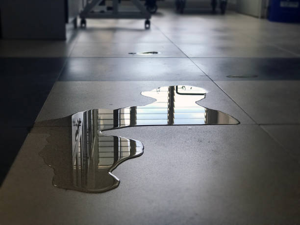 Reliable Apopka, FL Water damage restoration Solutions
