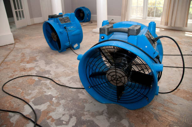 Best Sewage cleanup and water damage restoration  in Apopka, FL