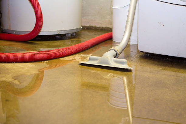 Best Residential water damage restoration  in Apopka, FL