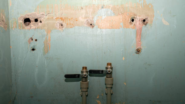 Best Water damage restoration near me  in Apopka, FL