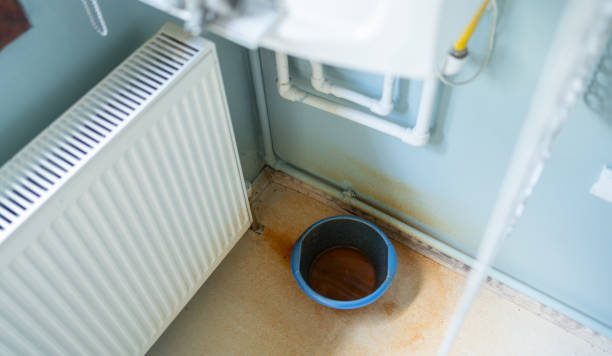 Best Mold removal after water damage  in Apopka, FL