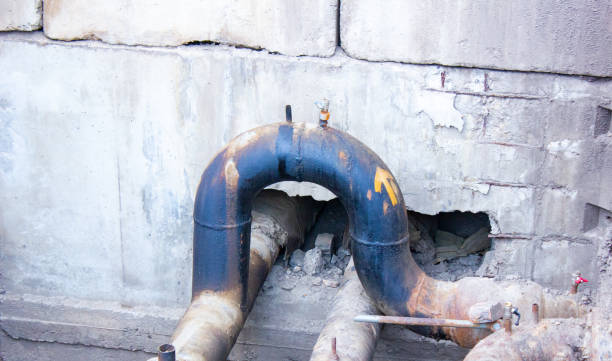 Best Water damage cleanup near me  in Apopka, FL
