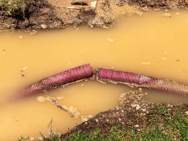 Best Emergency water extraction  in Apopka, FL