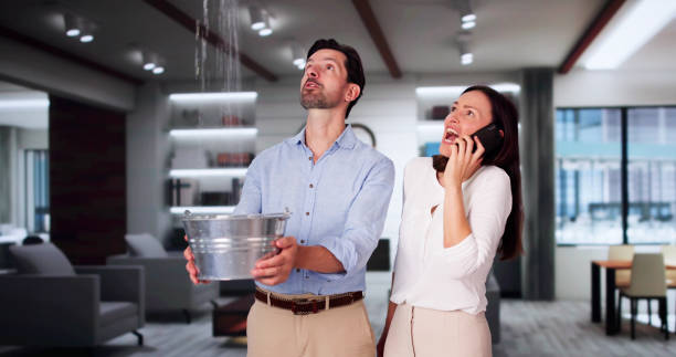 Best 24/7 water damage repair  in Apopka, FL