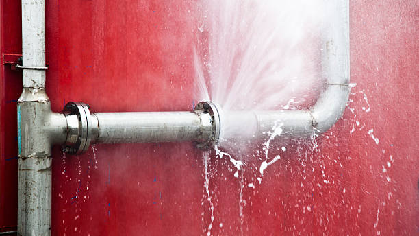 Best Carpet water damage restoration  in Apopka, FL